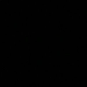 Meet your Posher, Tiana